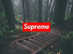  Digital Art Supreme - Chill