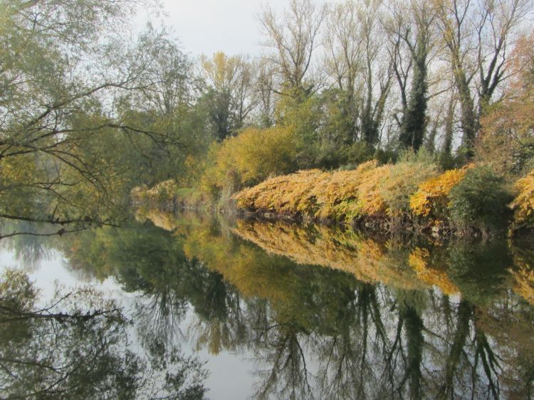 Wallpapers Nature Rivers - Torrents Le guiers en automne