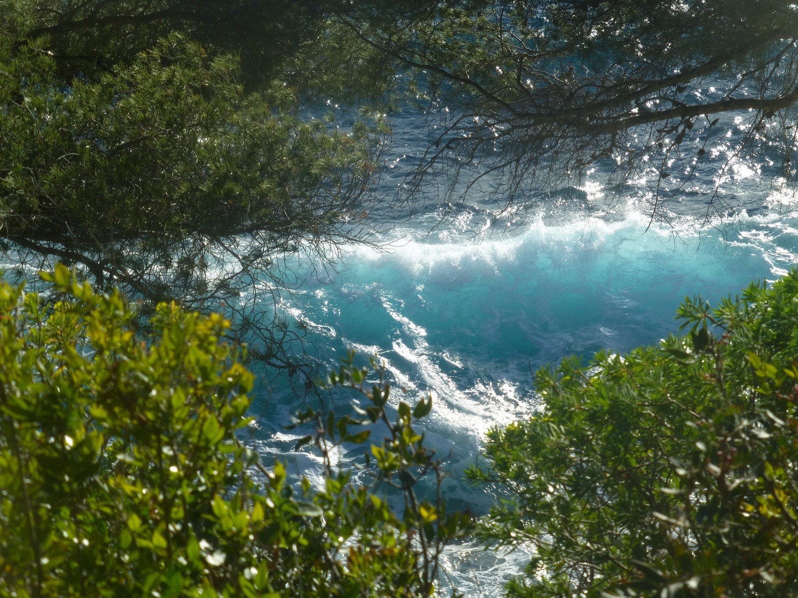 Fonds d'cran Nature Mers - Ocans - Plages une vague est tombée sur la tête