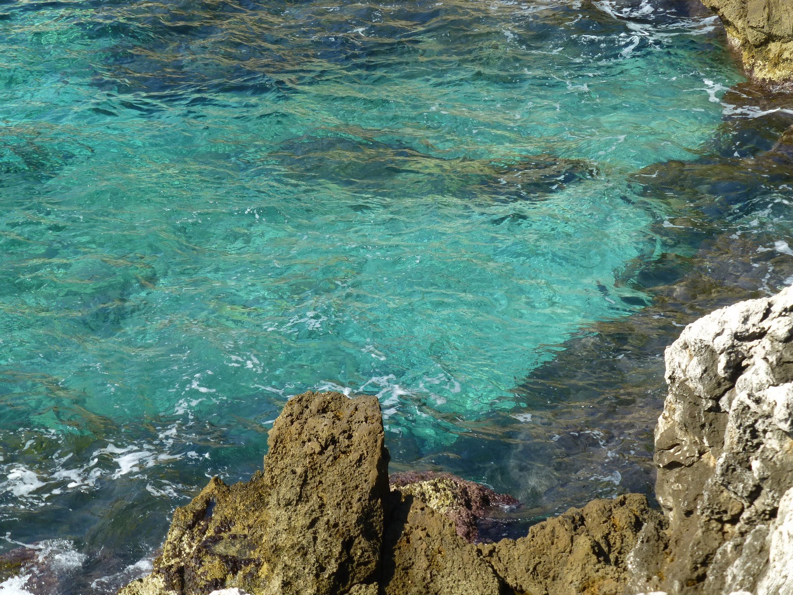 Fonds d'cran Nature Mers - Ocans - Plages un petit coin de paradis