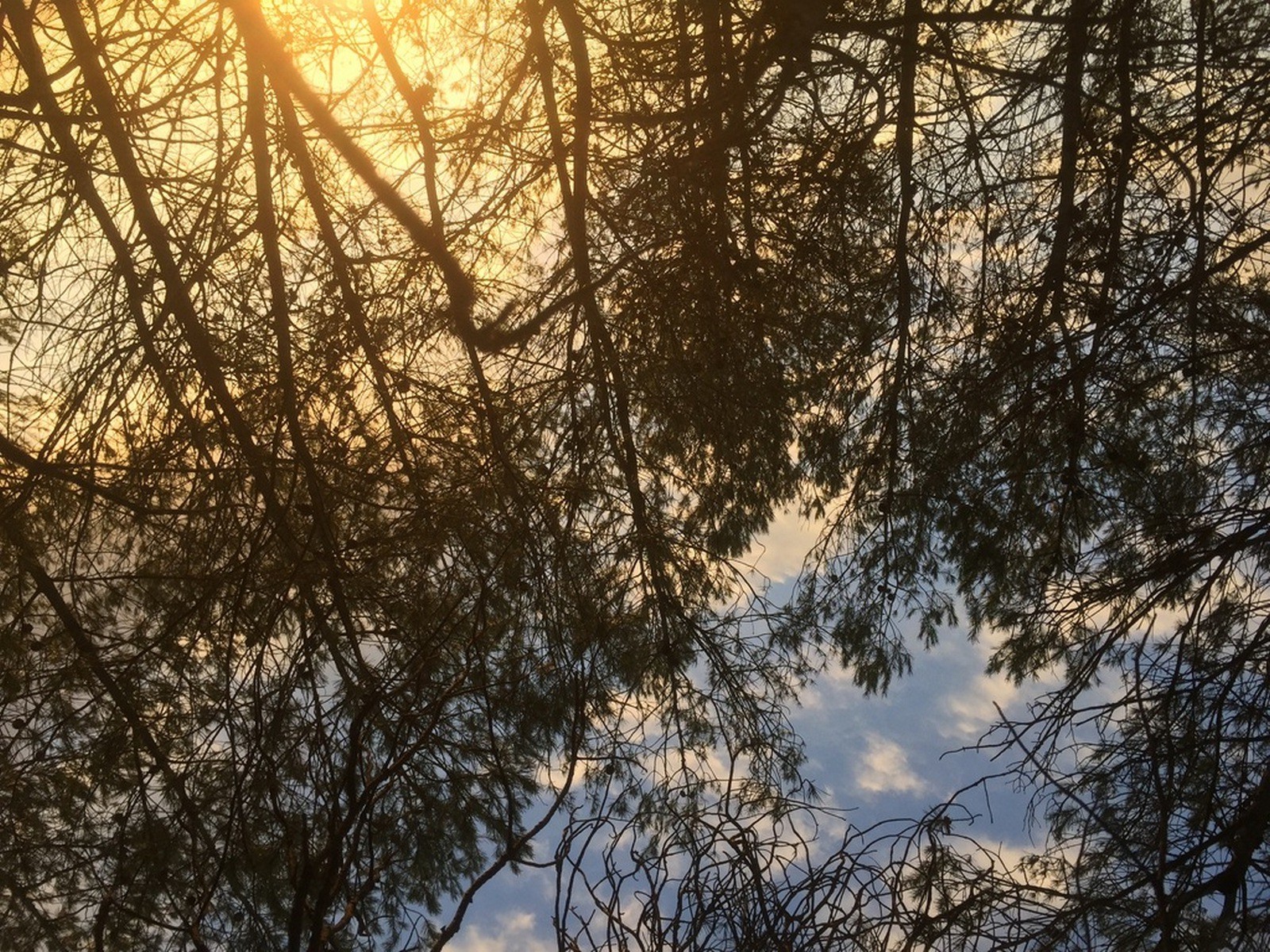 Fonds d'cran Nature Couchers et levers de Soleil le ciel est tombé sur la tête