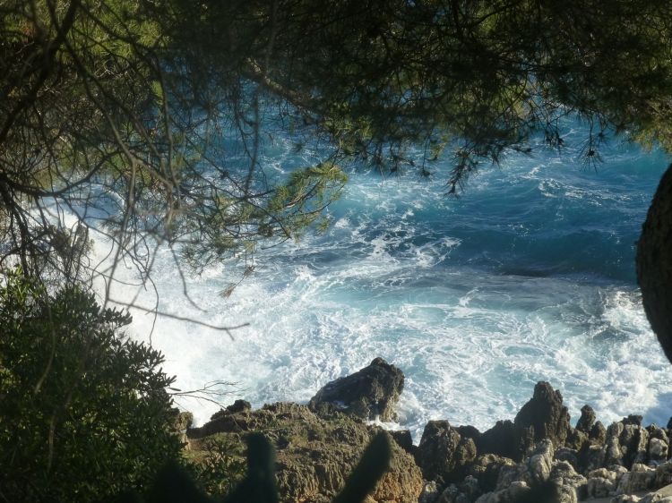 Fonds d'cran Nature Mers - Ocans - Plages des vagues tumultueuses