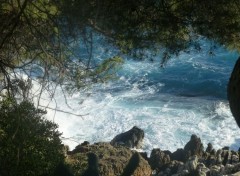  Nature des vagues tumultueuses