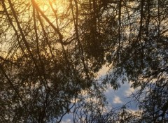  Nature le ciel est tombé sur la tête