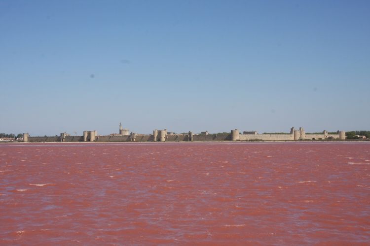 Wallpapers Trips : Europ France > Languedoc-Roussillon Aigues Morte vue depuis les salins .