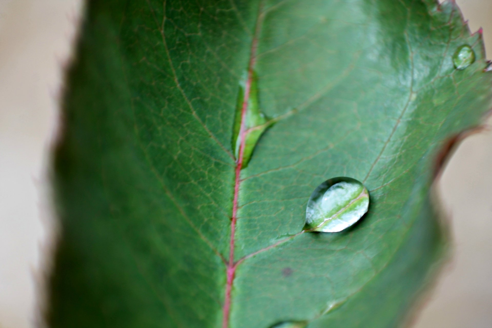 Wallpapers Nature Water - Drops 