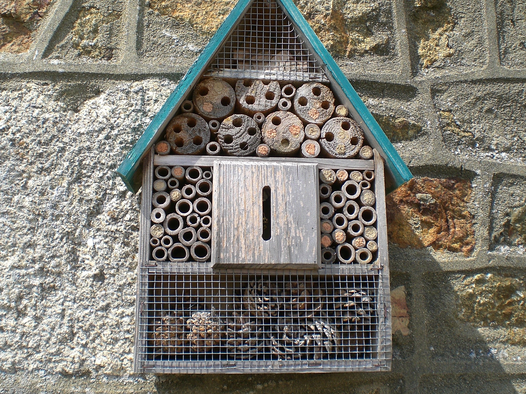 Fonds d'cran Animaux Insectes - Divers Rserve de nourriture de petits bourdons