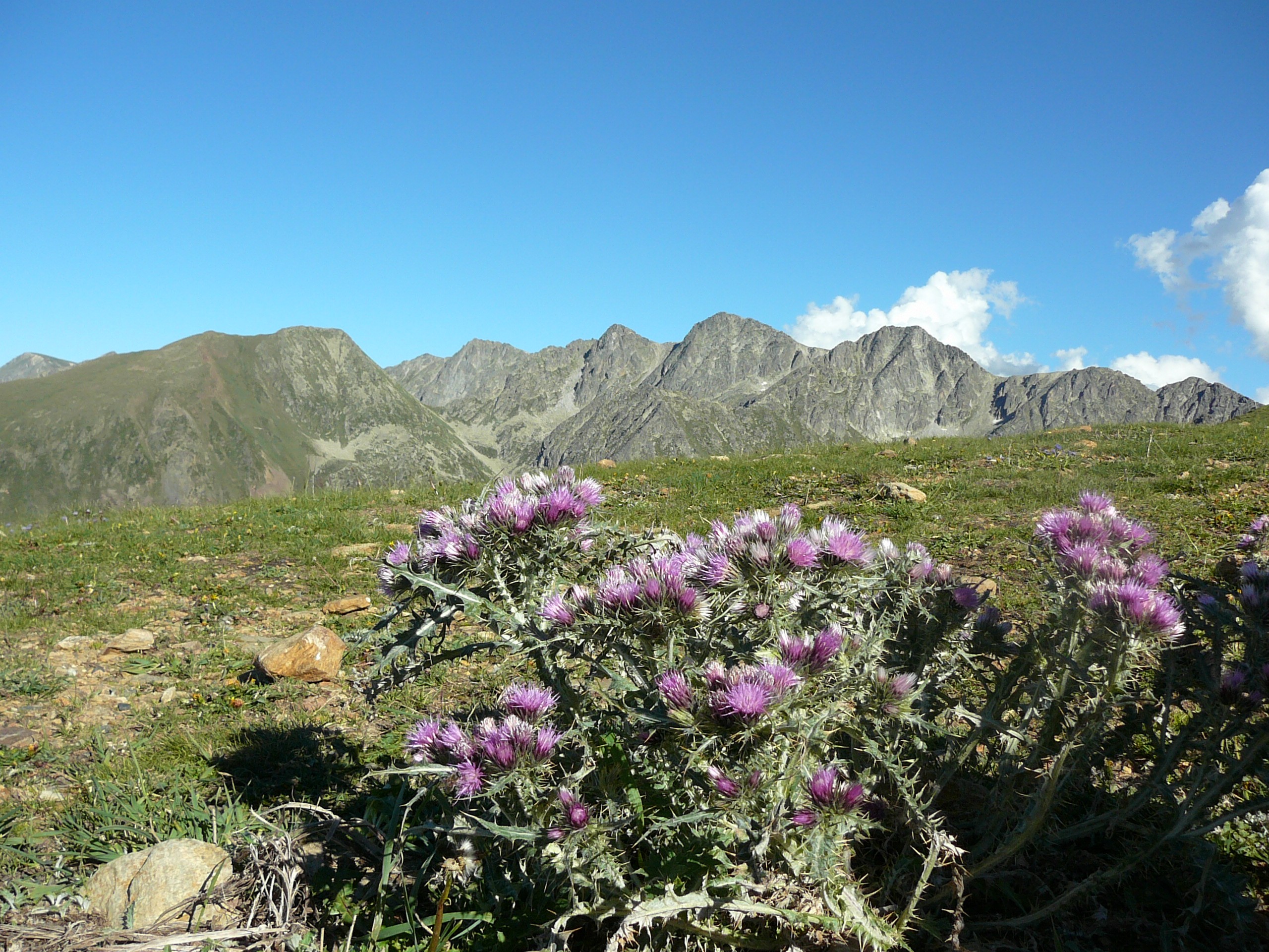 Fonds d'cran Nature Montagnes 