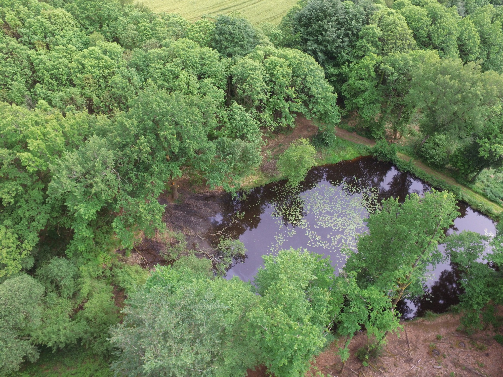 Fonds d'cran Nature Lacs - Etangs etang en haute vienne .87400.