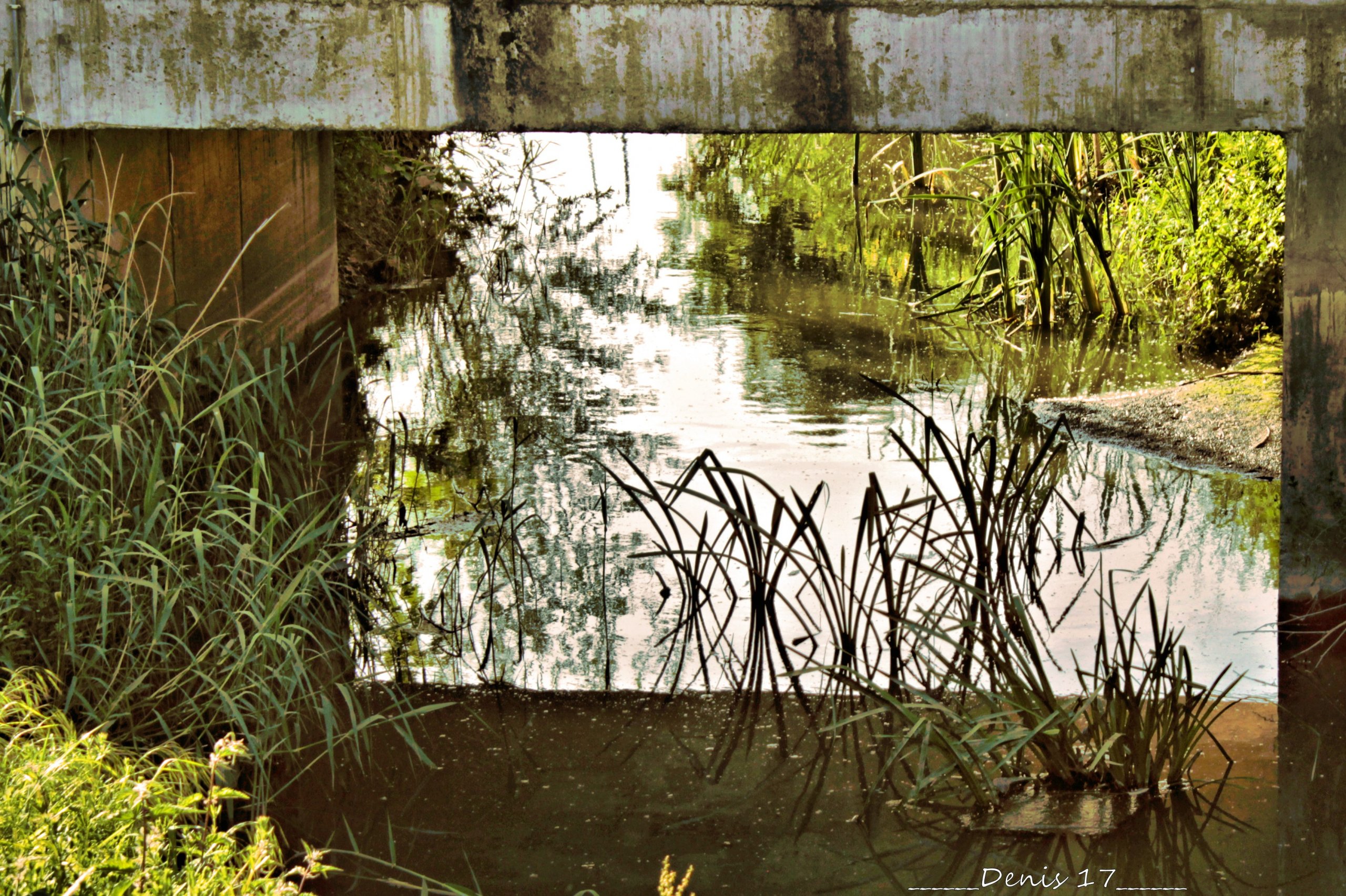 Fonds d'cran Nature Lacs - Etangs 