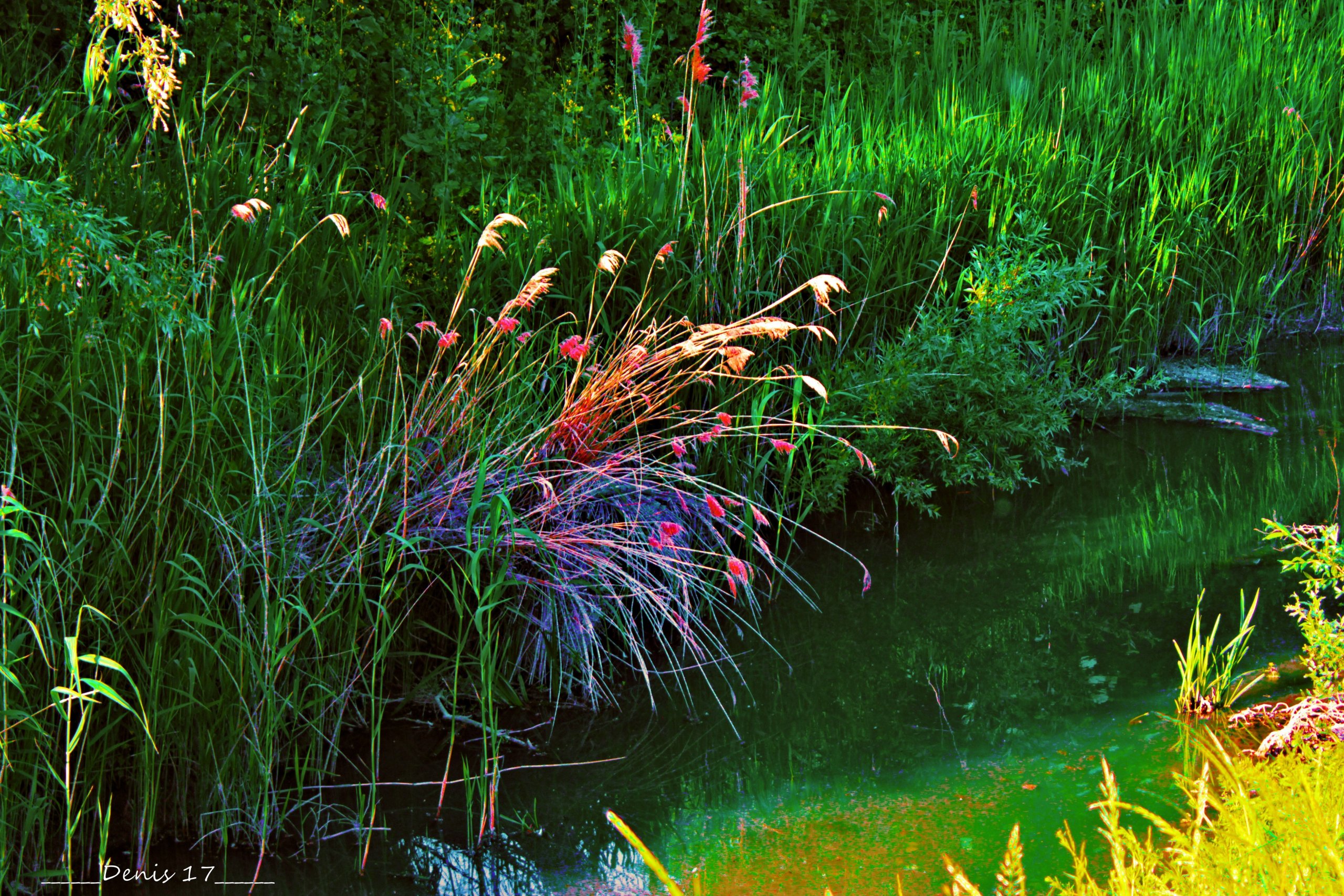 Fonds d'cran Nature Lacs - Etangs 