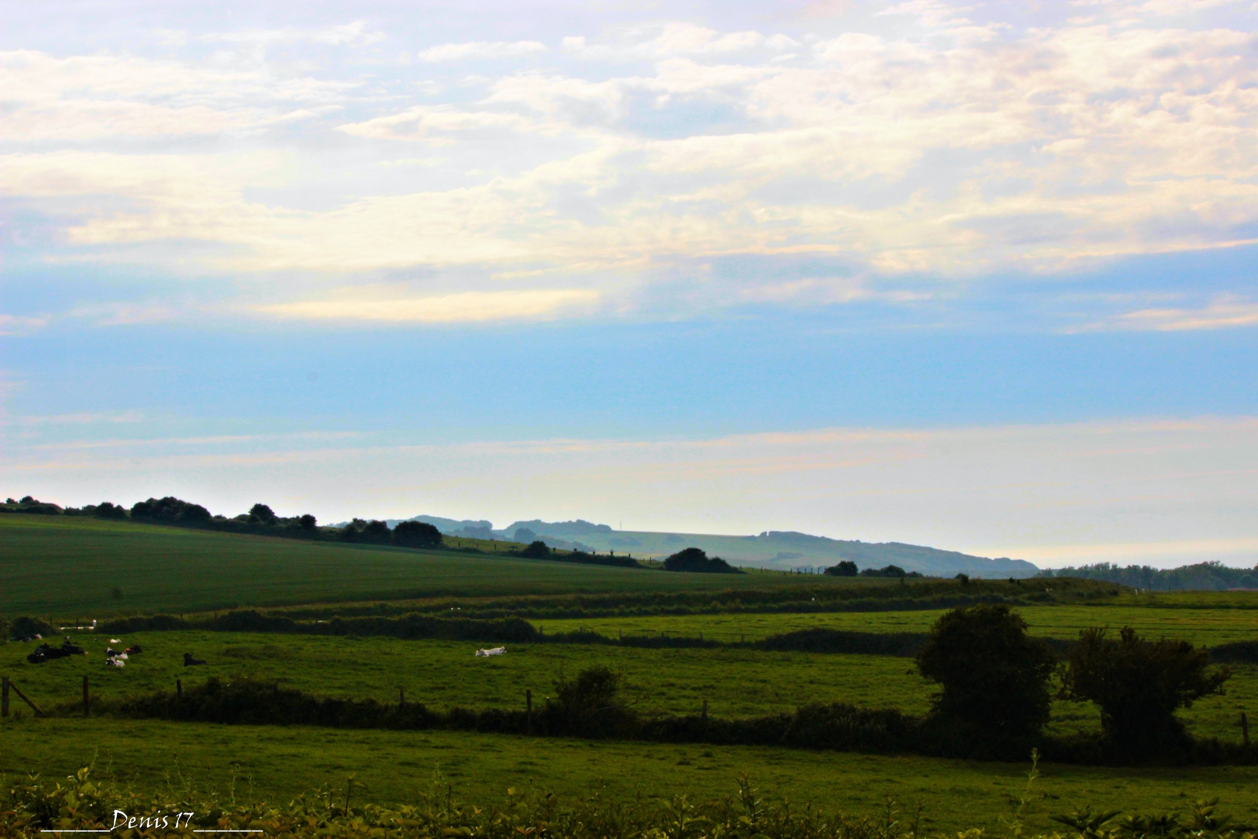 Fonds d'cran Nature Campagne CAP GRIS NEZ