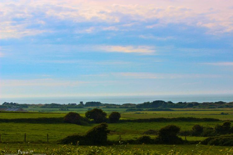 Fonds d'cran Nature Campagne CAP GRIS NEZ