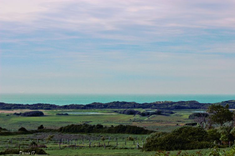 Fonds d'cran Nature Campagne CAP GRIS NEZ