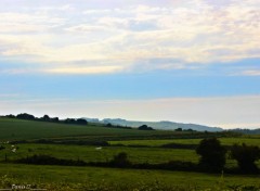  Nature CAP GRIS NEZ