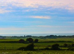  Nature CAP GRIS NEZ