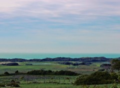  Nature CAP GRIS NEZ