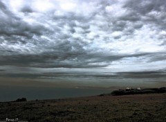  Nature CAP GRIS NEZ