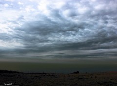  Nature CAP GRIS NEZ