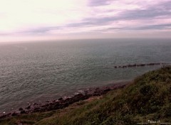  Nature CAP GRIS NEZ