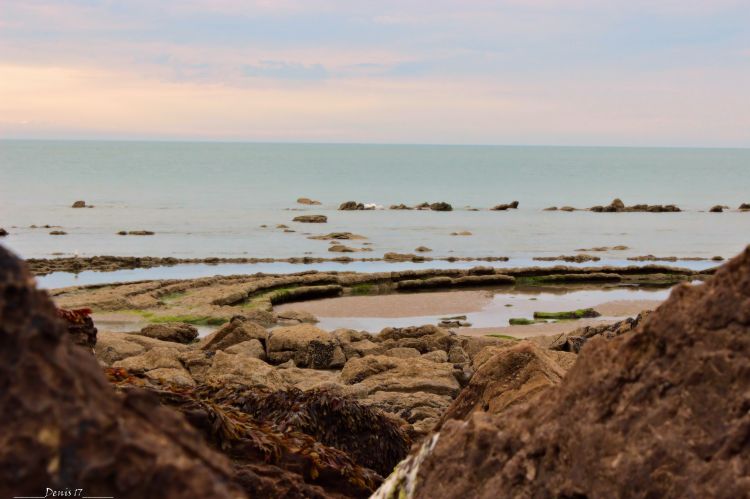 Wallpapers Nature Seas - Oceans - Beaches CAP GRIS NEZ