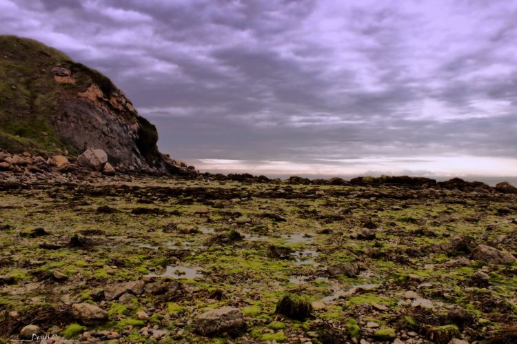 Wallpapers Nature Cliffs CAP GRIS NEZ