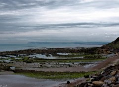  Nature CAP GRIS NEZ