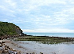  Nature CAP GRIS NEZ