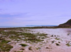  Nature CAP GRIS NEZ