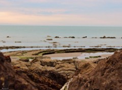  Nature CAP GRIS NEZ