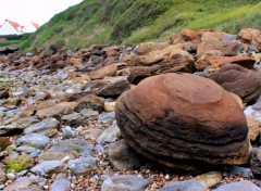  Nature CAP GRIS NEZ