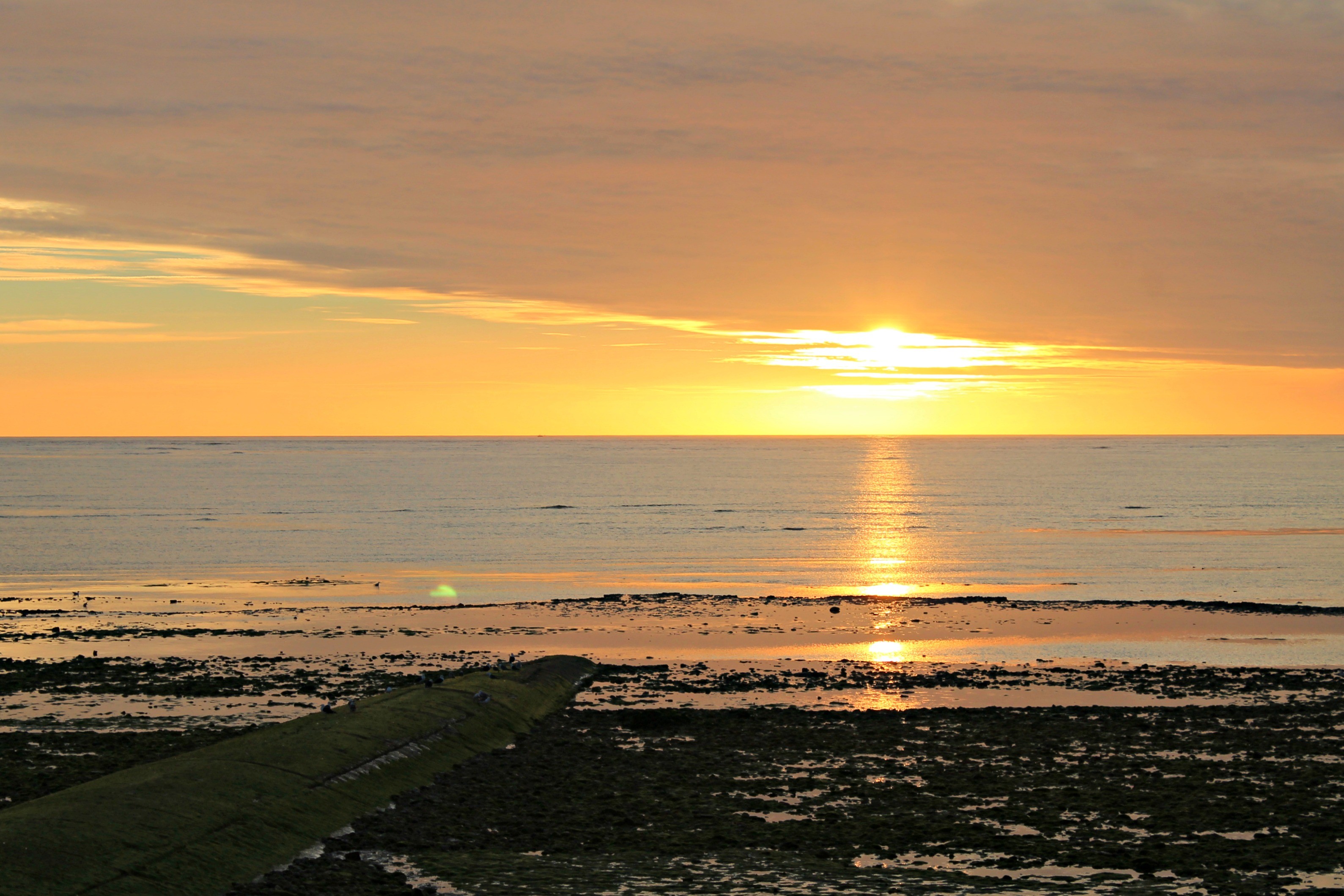 Wallpapers Nature Sunsets and sunrises couché de soleil sur l' île de Ré