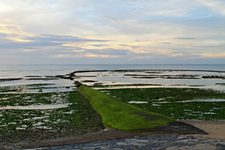 Wallpapers Nature Sunsets and sunrises couché de soleil sur l' île de Ré