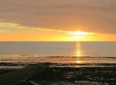  Nature couché de soleil sur l' île de Ré