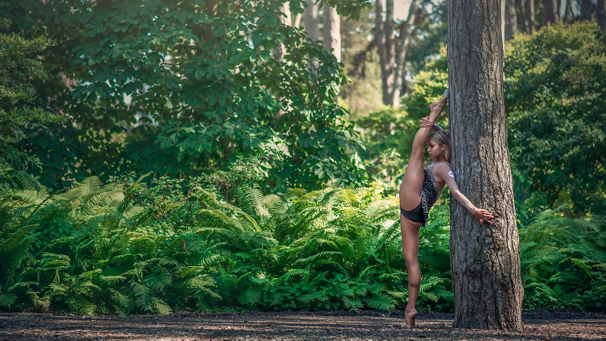 Wallpapers Sports - Leisures Gymnastique 