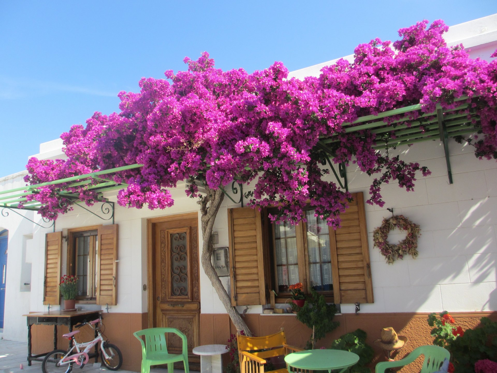 Fonds d'cran Constructions et architecture Maisons Bougainvilliers, le de Paros, Grce