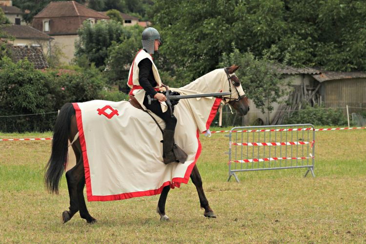 Wallpapers Animals Horses spectacle equestre