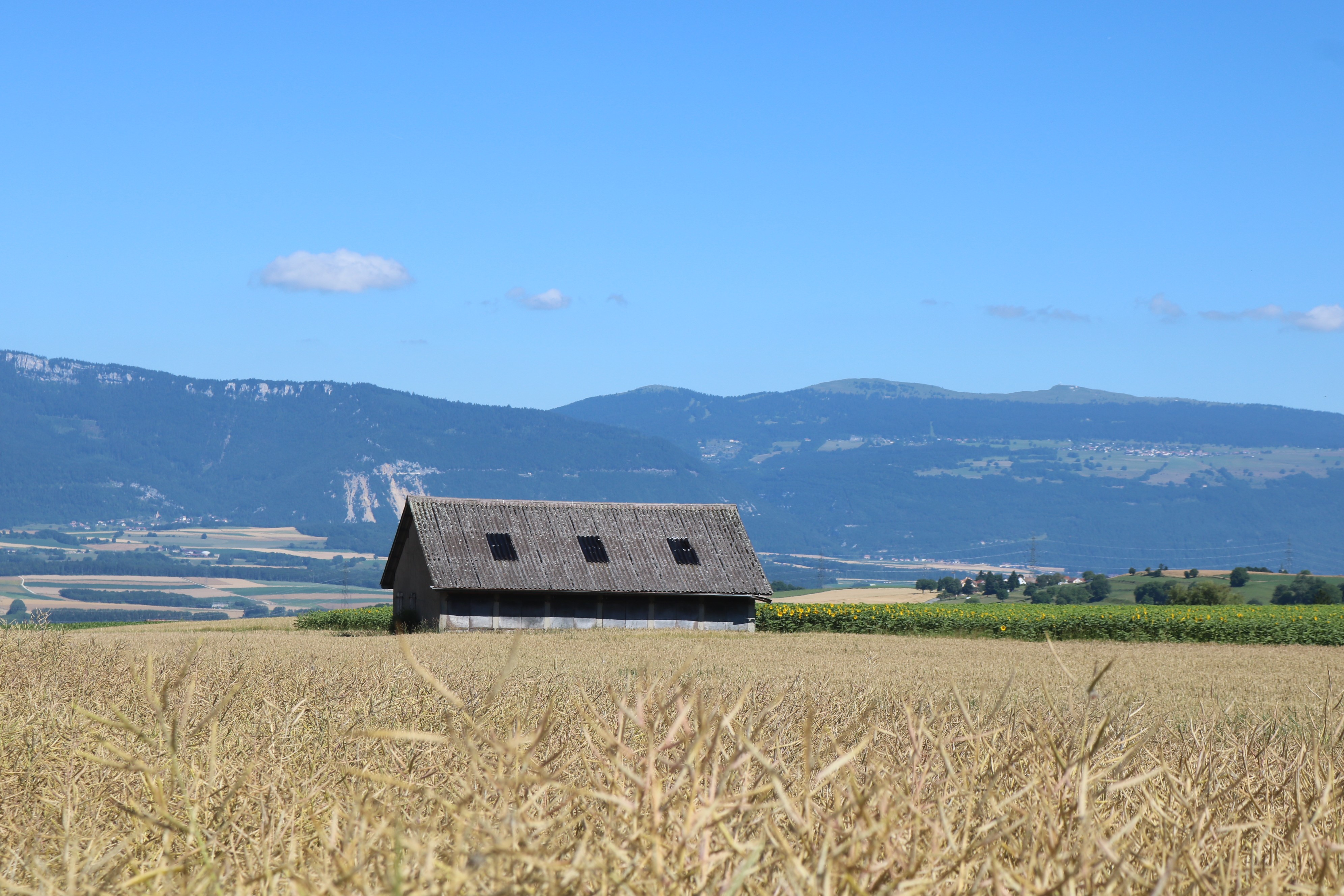 Fonds d'cran Nature Champs - Prairies A travers champs