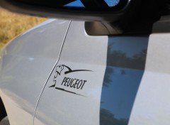  Voitures Peugeot 406