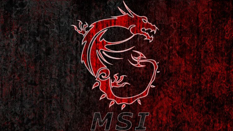 Fonds d'cran Informatique MSi Wallpaper N450013