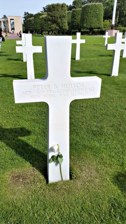 Fonds d'cran Constructions et architecture Cimetires cimetière Américain de Colleville sur Mer (dép 14)