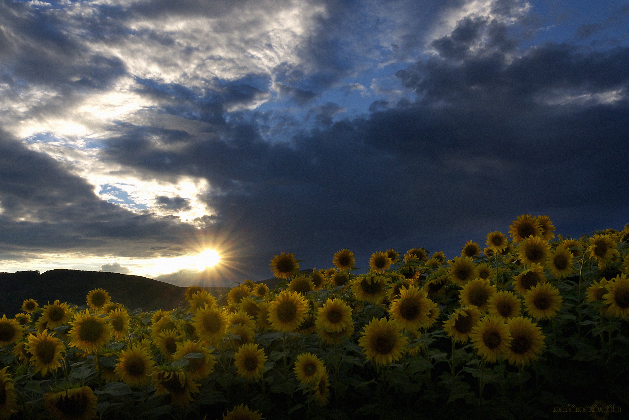 Fonds d'cran Nature Champs - Prairies Le soir avant la tempte