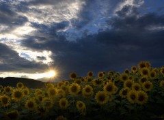  Nature Le soir avant la tempte