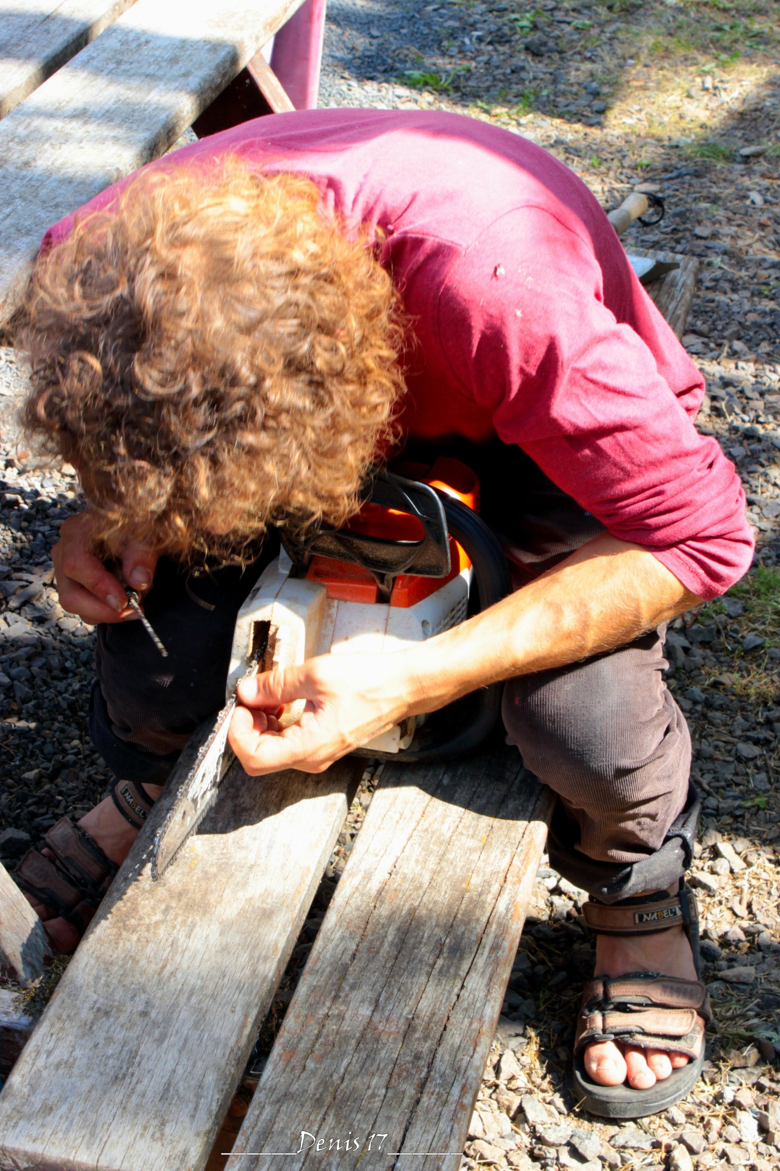 Fonds d'cran Hommes - Evnements Scnes de vie AUVERGNE 2017 FESTIVAL DE L ARBRE CREUX