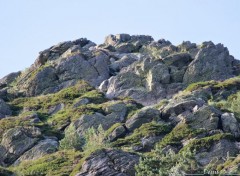  Nature ARDECHE 2017 MONT GERBIER