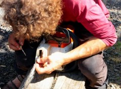  Hommes - Evnements AUVERGNE 2017 FESTIVAL DE L ARBRE CREUX