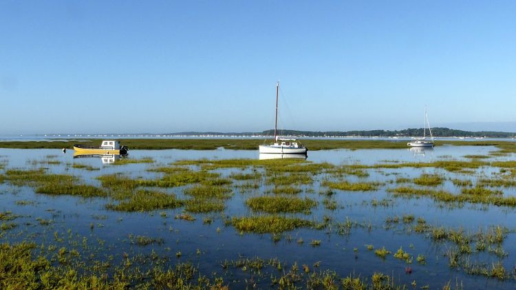 Fonds d'cran Voyages : Europe France > Aquitaine Le bassin d'Arcachon