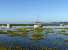  Voyages : Europe Le bassin d'Arcachon