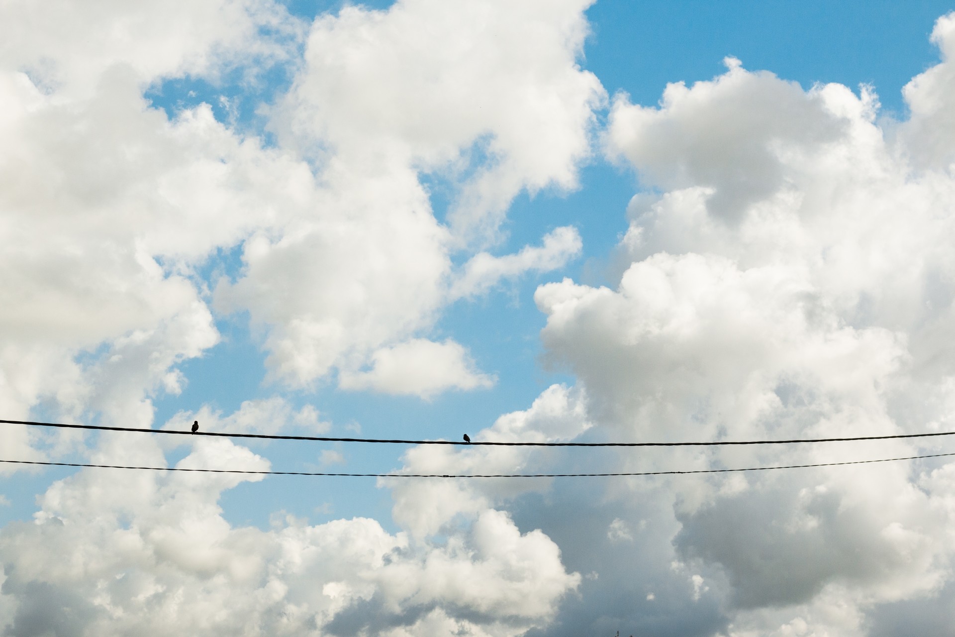 Fonds d'cran Nature Ciel - Nuages Deux amis