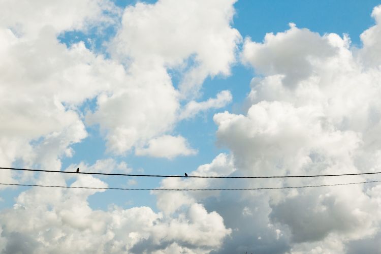 Wallpapers Nature Skies - Clouds Deux amis